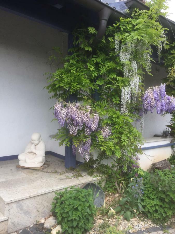 Gaensebluemchen 1 Apartment Daisy 1 Walsdorf  エクステリア 写真