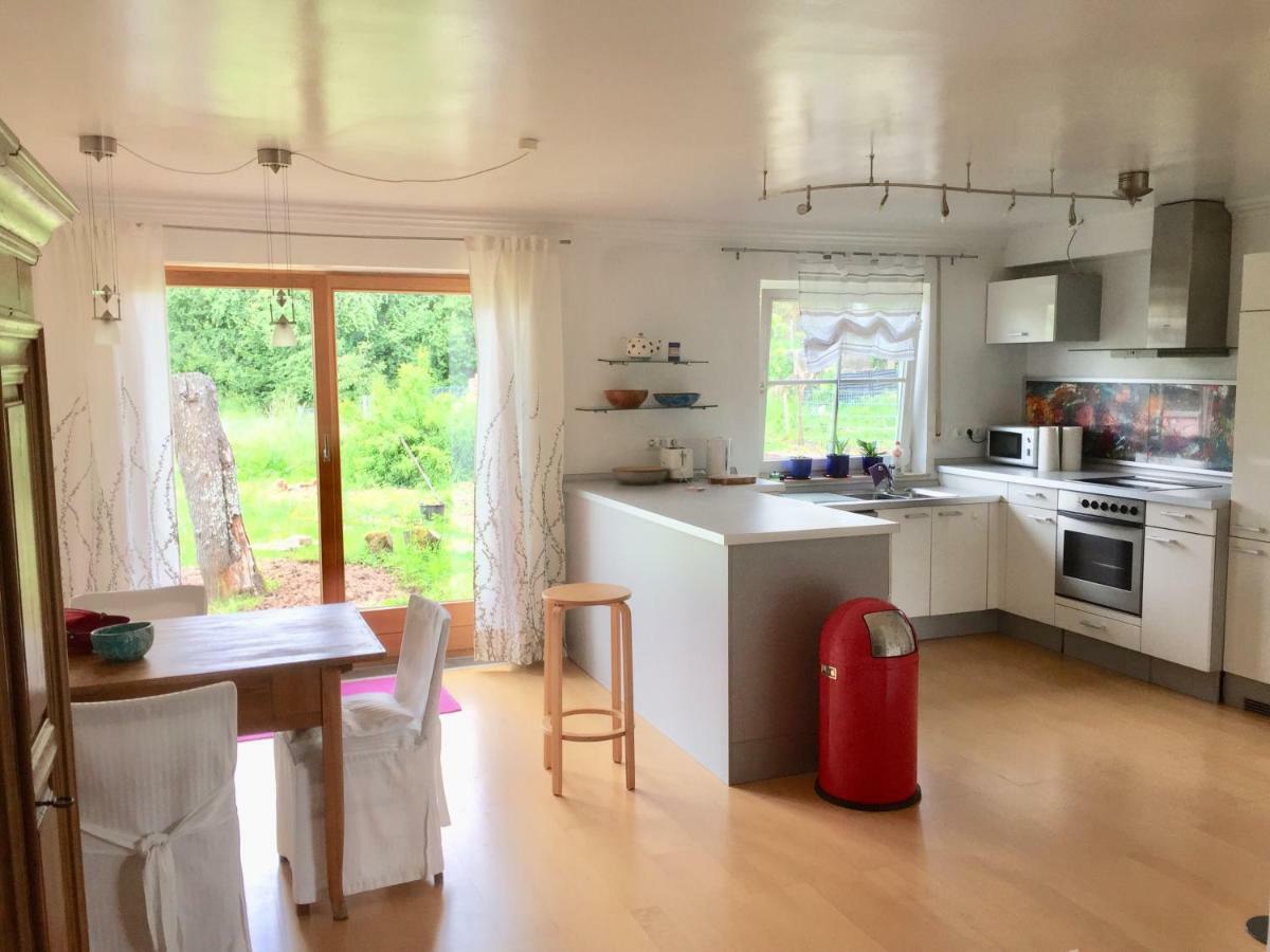 Gaensebluemchen 1 Apartment Daisy 1 Walsdorf  エクステリア 写真